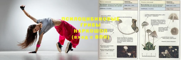 apvp Белокуриха