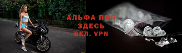 apvp Белокуриха