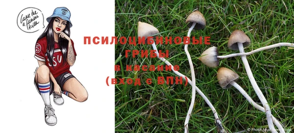 хмурый Белоозёрский