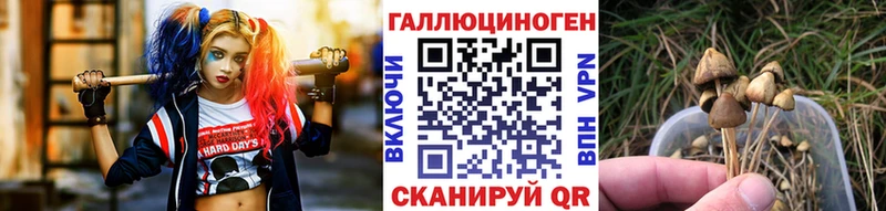 Галлюциногенные грибы MAGIC MUSHROOMS  OMG вход  Надым 