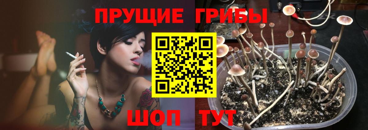 Псилоцибиновые грибы GOLDEN TEACHER Надым